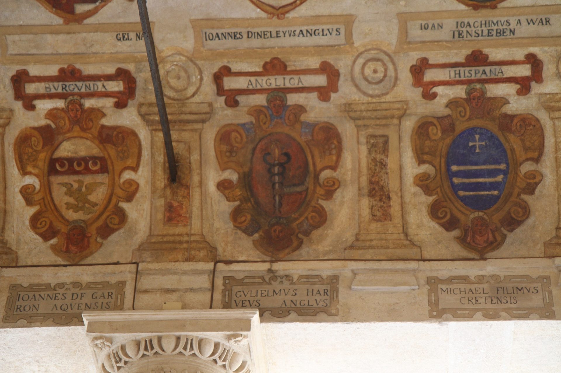 William Harvey's coat of arms, Padua - 02.JPG